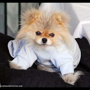 Meet your Posher, Lynda